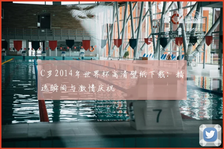 C罗2014年世界杯高清壁纸下载：精选瞬间与激情庆祝
