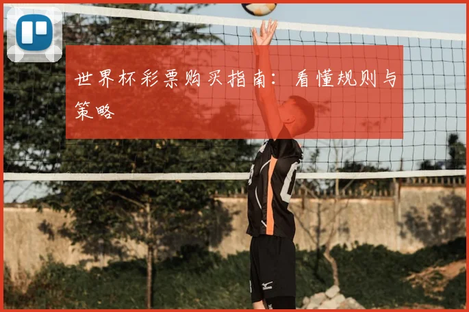 世界杯彩票购买指南:看懂规则与策略