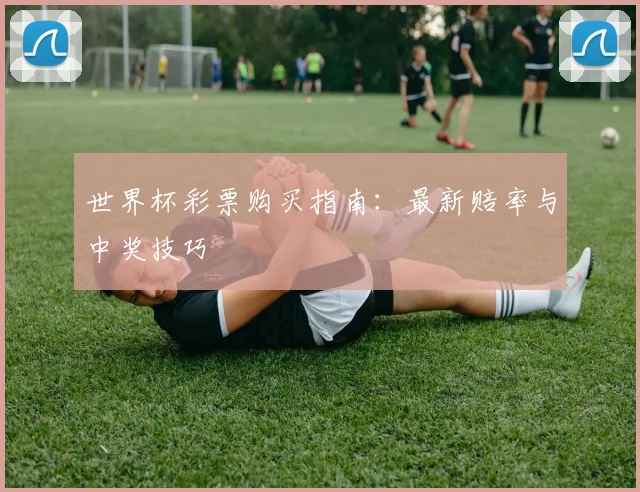 世界杯彩票购买指南:最新赔率与中奖技巧