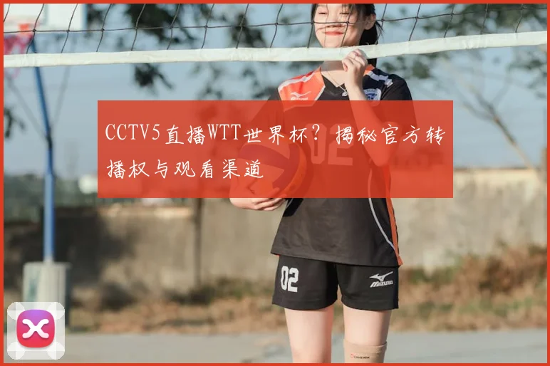 CCTV5直播WTT世界杯？揭秘官方转播权与观看渠道